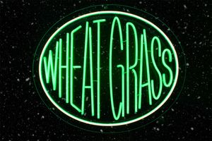 Wheatgrass - Juice Bar - Rockland County, NY at Good Roots Natural Market in Haverstraw