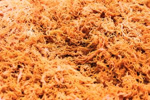 Sea Moss - Bulk - Wholesale Sea Moss at Good Roots Natural Market in Haverstraw