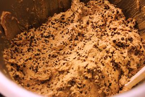 Vegan Chocolate Chip Cookie Dough at Good Roots Natural Market in Haverstraw