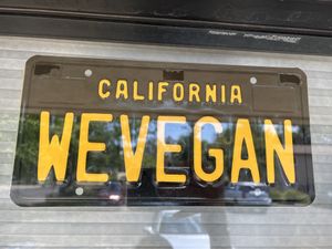   at Pizza Riot in Chico