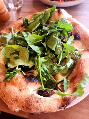 Vegan Ortolana at Esplanade in Dunedin