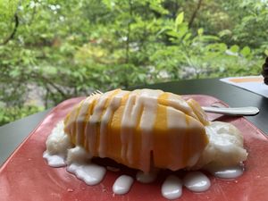 I absolutely LOVE the coconut cream on their sweet sticky rice with mango 🥭  at Thai Cuisine of Salem in Salem