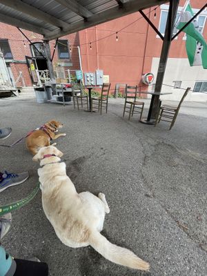 Dog friendly outside patio   at Chase's Daily in Belfast