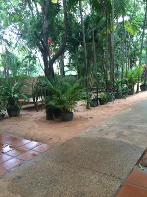 Outside the Restaurant at Peace Cafe in Siem Reap