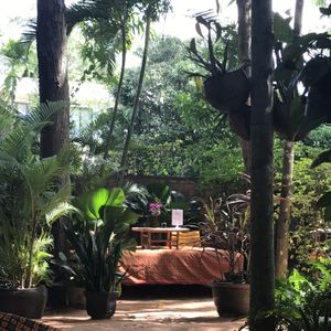 Peace Café, Siem Reap at Peace Cafe in Siem Reap