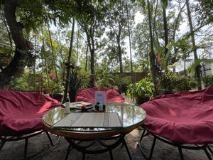 I see why they called it Peace Cafe  at Peace Cafe in Siem Reap