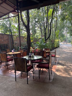   at Peace Cafe in Siem Reap