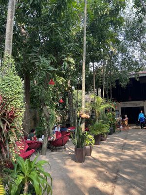   at Peace Cafe in Siem Reap