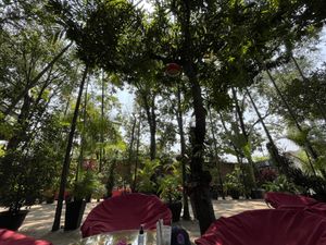 How’s the serenity?  at Peace Cafe in Siem Reap