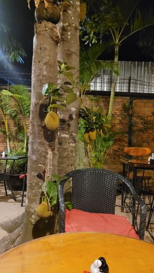 Seating at Peace Cafe in Siem Reap