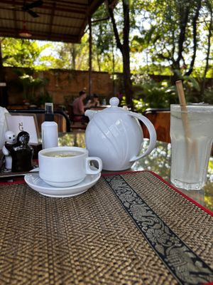 Big pot of lotus tea   at Peace Cafe in Siem Reap