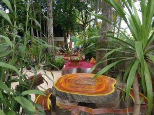 Gorgeous garden setting at Peace Cafe in Siem Reap
