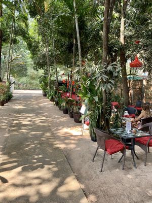 Nice garden with outdoor seating at Peace Cafe in Siem Reap
