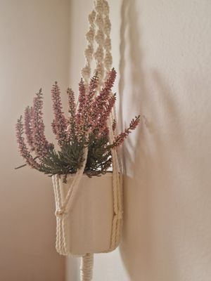 Beauty at BeetBox in Slovenj Gradec