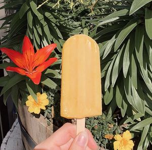 Mango Paleta made in house at The Local Juicery + Kitchen in Chattanooga