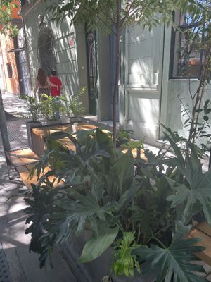 Afuera  at Let it V - plant based in Buenos Aires