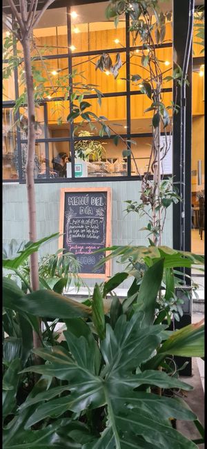  at Let it V - plant based in Buenos Aires