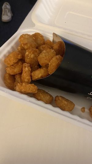 Tots  at SoBe Vegan in Fort Lauderdale