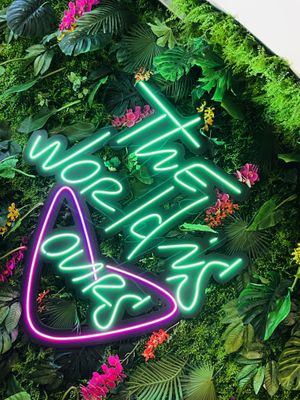 Queso burger and cheese fries!  at SoBe Vegan in Fort Lauderdale