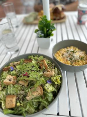 Salad and Mac & Cheese   at SoBe Vegan in Fort Lauderdale