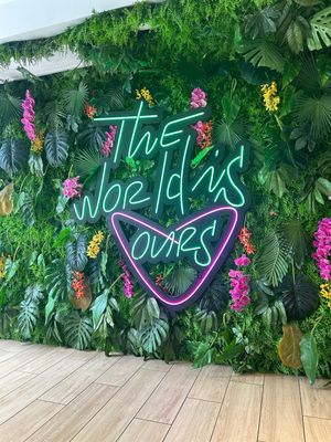   at SoBe Vegan in Fort Lauderdale