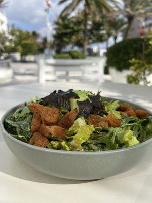   at SoBe Vegan in Fort Lauderdale