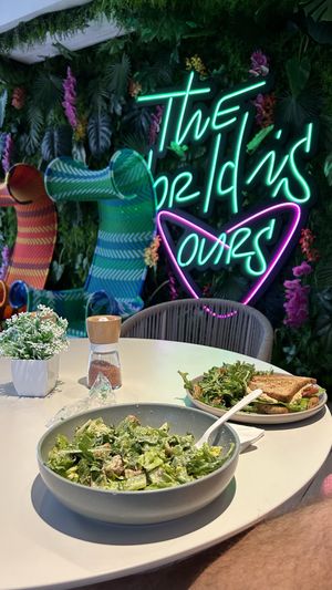   at SoBe Vegan in Fort Lauderdale