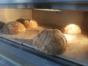 Daily fresh sourdough bread at Sharon Artisan Bakery in Ho Chi Minh City