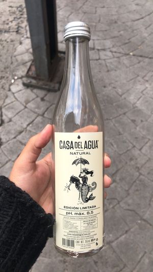 Botella de agua natural #Veganuary at Goy's Plant-Based Burgers - Álvaro Obregón in Mexico City