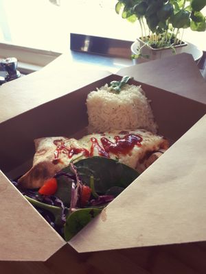 Amazing vegan enchiladas  at The Red Lion in Bristol