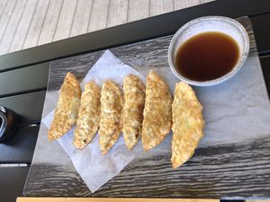 Vegan potstickers, delicious! at Kamakura in Lacey