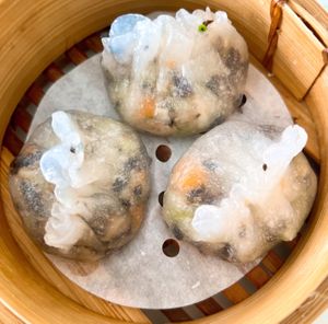   at Easy House in Gold Coast