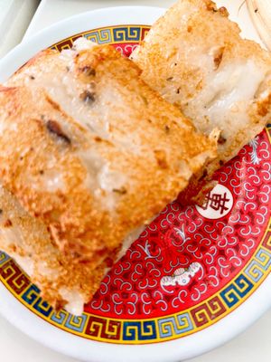   at Easy House in Gold Coast