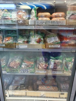 Vegan Frozen Meats at Super Oriental Market in Orlando