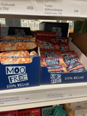   at Vegan Budin in Reykjavik