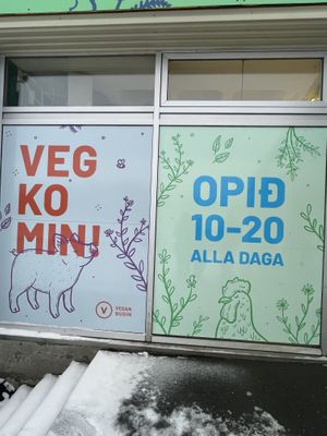   at Vegan Budin in Reykjavik