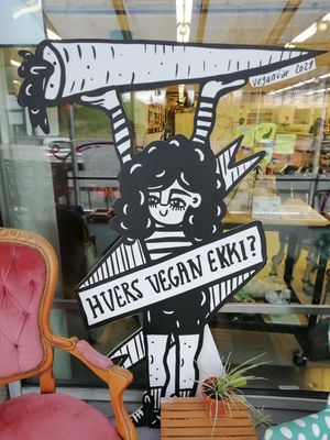 Shop front at Vegan Budin in Reykjavik