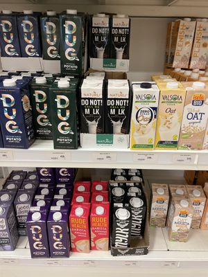   at Vegan Budin in Reykjavik