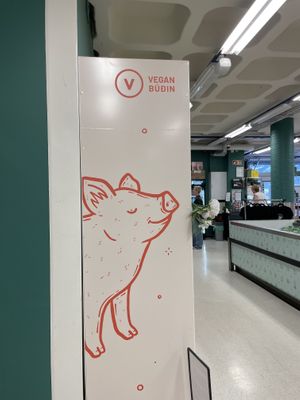   at Vegan Budin in Reykjavik