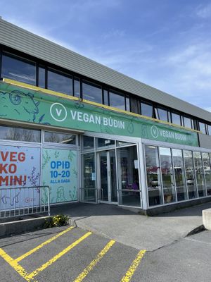   at Vegan Budin in Reykjavik