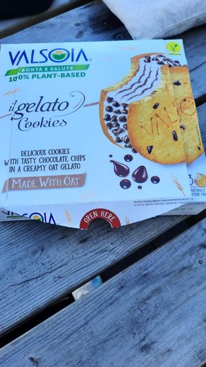 So good!! at Vegan Budin in Reykjavik