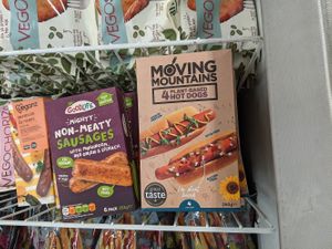 Easy camping option at Vegan Budin in Reykjavik