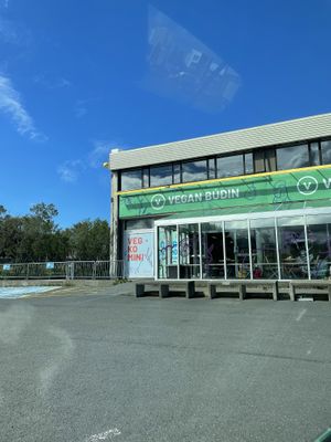   at Vegan Budin in Reykjavik