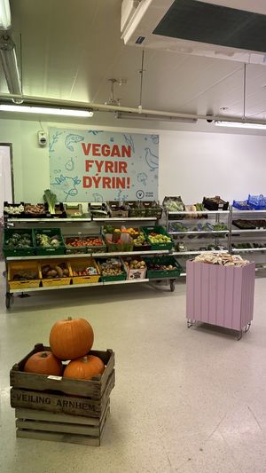   at Vegan Budin in Reykjavik