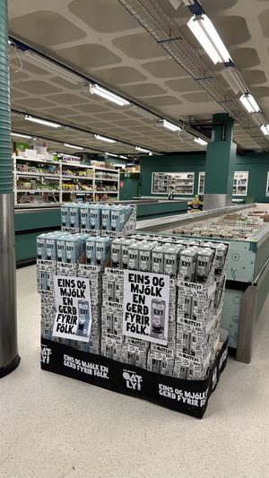   at Vegan Budin in Reykjavik