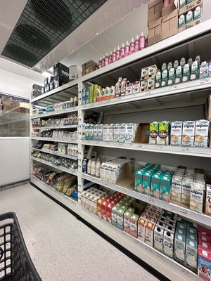   at Vegan Budin in Reykjavik