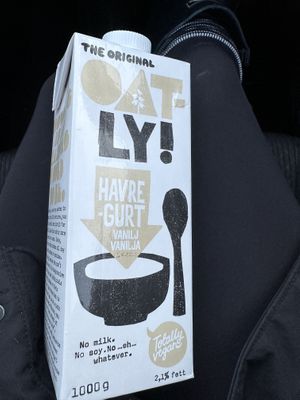   at Vegan Budin in Reykjavik