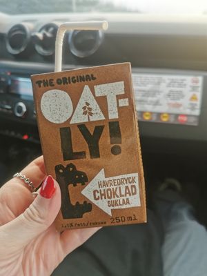  at Vegan Budin in Reykjavik