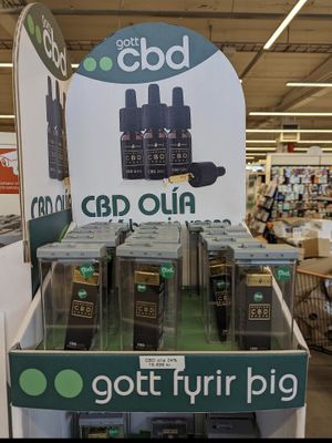  at Vegan Budin in Reykjavik