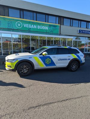  at Vegan Budin in Reykjavik